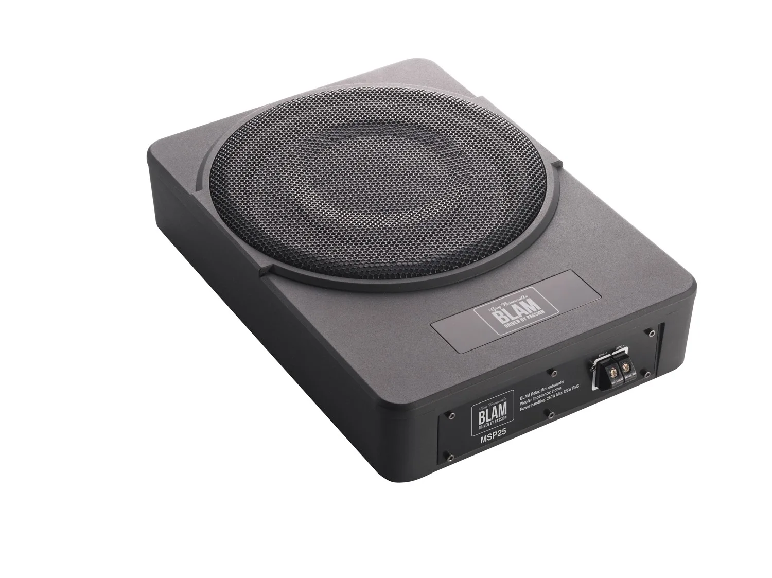 Blam MSP 25