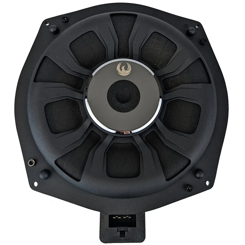 Phoenix Gold ZDSB200S 8-inch BMW subwoofer, front view